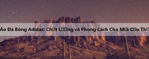 Áo Đá Bóng Adidas: Chất Lượng và Phong Cách Cho Mọi Cầu Thủ